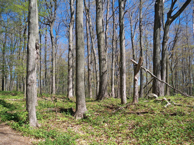 empire bluff trail